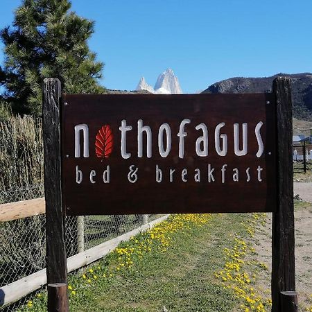 Nothofagus Bed & Breakfast El Chalten Esterno foto